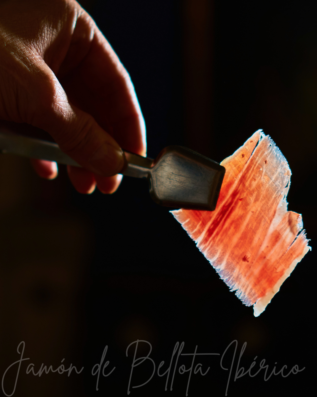 Jamón Ibérico Bellota